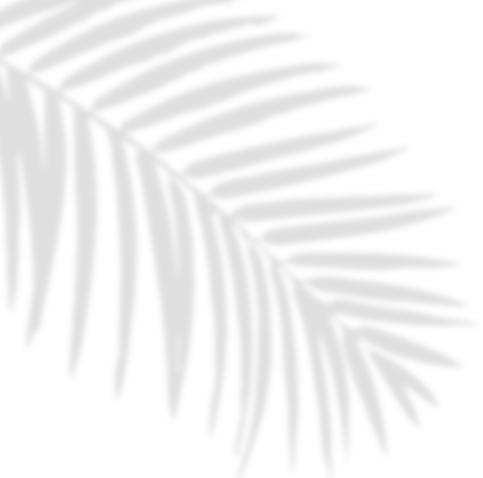 Leaves Shadow Illustration